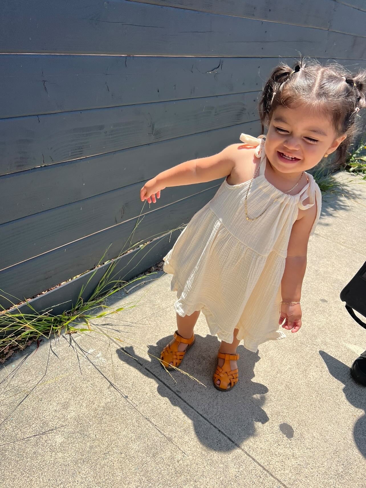 Honeybee Dress + Bloomers set